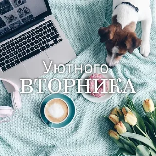💚 emoji Дни Недели Telegram sticker 10 of 36