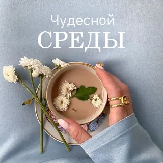 🙂 emoji Дни Недели Telegram sticker 12 of 36
