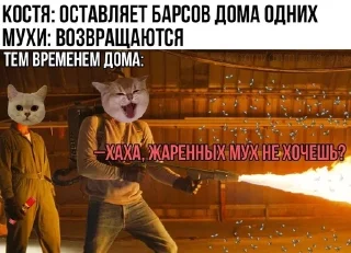 🌟 emoji Дем Бункер Telegram sticker 9 of 11
