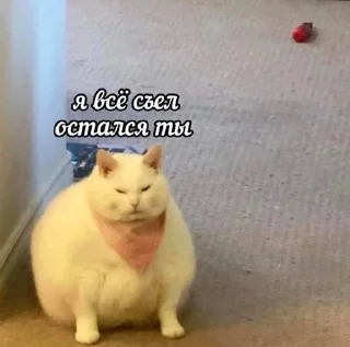 🌟 emoji Дин Telegram sticker 10 of 118