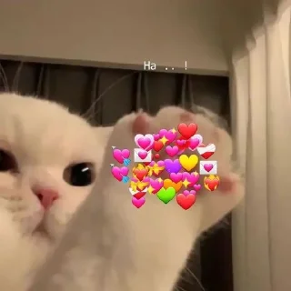❤️ emoji by @kozerozhka_26 Telegram sticker 19 of 41