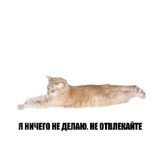 😵 emoji Двп Telegram sticker 8 of 120