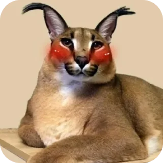 🐱 emoji Пак Telegram sticker 12 of 29