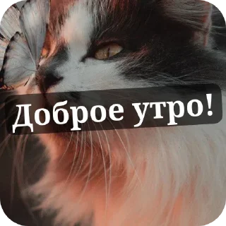 Sticker from Лов ю Мятлики