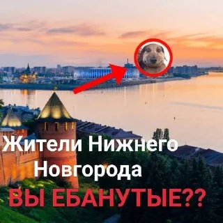 😨 emoji сабака Telegram sticker 18 of 41