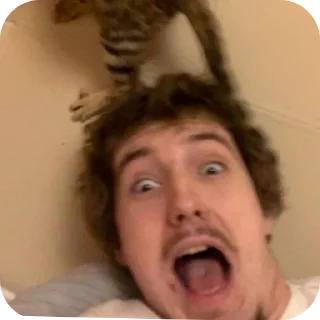 🤲 emoji Данон мой муж Telegram sticker 7 of 17