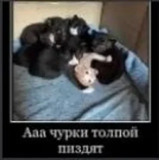 😭 emoji Шизофрения by @EmptinessN Telegram sticker 8 of 60