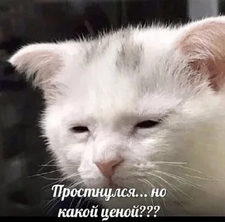 😴 emoji чоч by @flopka Telegram sticker 6 of 17