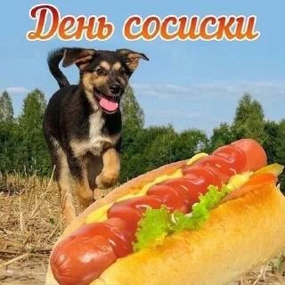 🌭 emoji С днём дня! @stickernayaa Telegram sticker 8 of 102