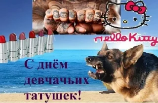 😇 emoji с днём дня Telegram sticker 18 of 50