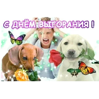 Sticker from С днём дня! @stickernayaa