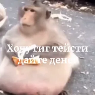 🤩 emoji Лучший пак для лучших(спиженных стиков со всего инета) Telegram sticker 16 of 63