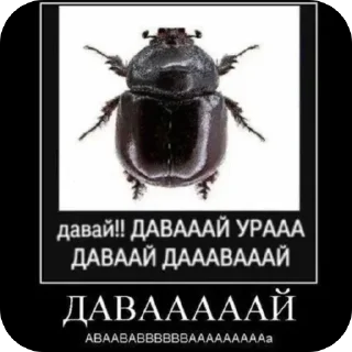 🐜 emoji Курсед энд Блессед Telegram sticker 14 of 120