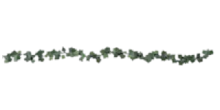 🍵 emoji ꕮ៹ green separators  🎐 @hekanai Telegram sticker 22 of 35
