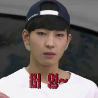 Sticker from wonwoo