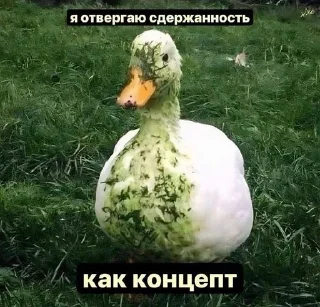 🌟 emoji базисы комуникации Telegram sticker 12 of 86