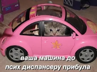 🌟 emoji базисы комуникации Telegram sticker 15 of 86