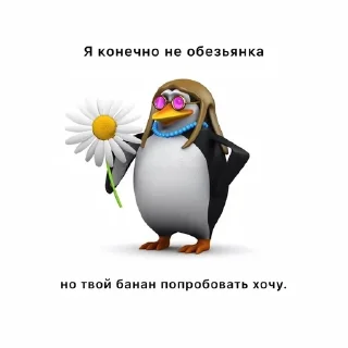 🌟 emoji пингвин @lightnine Telegram sticker 10 of 59
