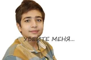 Sticker from ГБОУ РФМЛИ