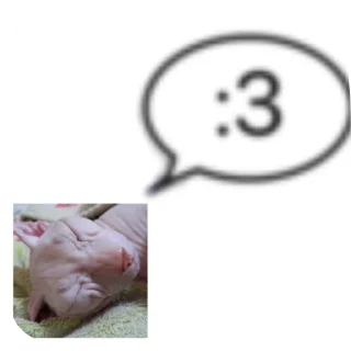 😋 emoji Tomas MyBeloved @gusok_ne_lays Telegram sticker 20 of 46