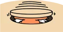 📦 emoji Wonderful orange cat (@n_chronos) Telegram sticker 24 of 40