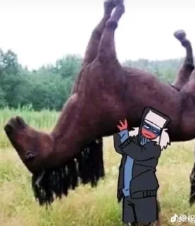 🌟 emoji Страны Telegram sticker 17 of 119