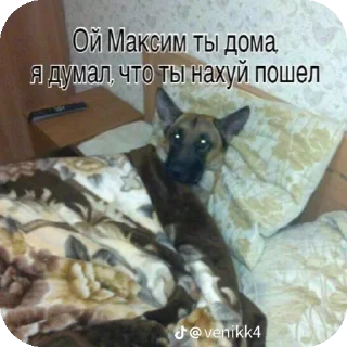 👍 emoji ХЗ ВАЩЕ Telegram sticker 18 of 66