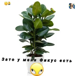 🐦 emoji ХЗ ВАЩЕ Telegram sticker 12 of 66