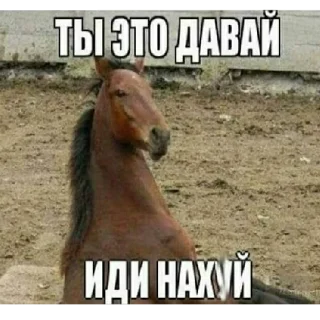 🐴 emoji На случай важных переговоров Telegram sticker 12 of 110