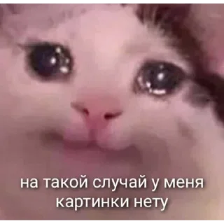 😢 emoji Аля улю Telegram sticker 9 of 109