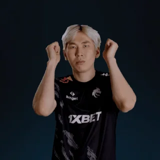 🤯 emoji Team Spirit Dota2 Telegram sticker 3 of 36
