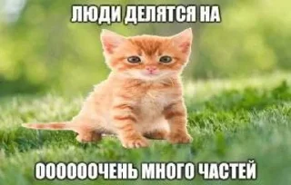 🌟 emoji Рыжий • @TgStickery Telegram sticker 11 of 100