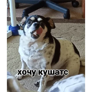 Sticker from осек