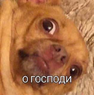 Sticker from Лучший дуэт