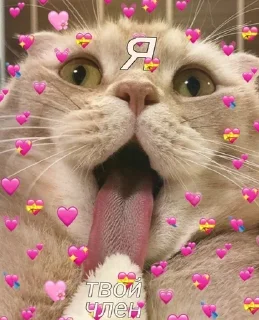 🌟 emoji агро милашки Telegram sticker 16 of 44
