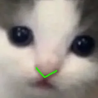 ✅ emoji ylsk Telegram sticker 8 of 67