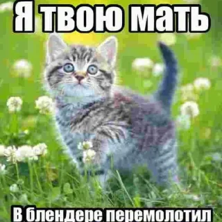 ☠️ emoji донбас скорбіт Telegram sticker 5 of 47