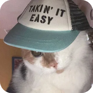 🐱 emoji Ээяхыхыхы Telegram sticker 12 of 17