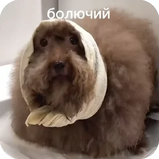 🫥 emoji Красивучи Telegram sticker 6 of 26
