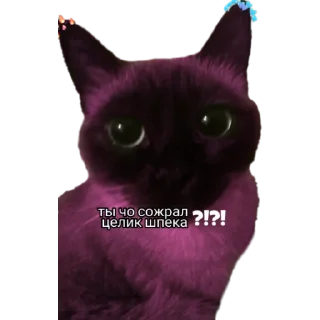 🧠 emoji Палата Telegram sticker 22 of 38