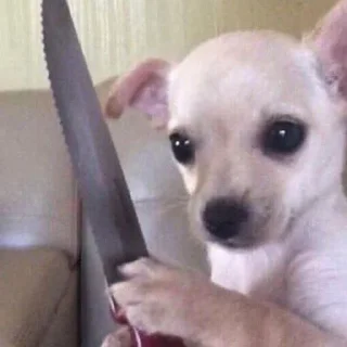 🔥 emoji ZORO Telegram sticker 21 of 120