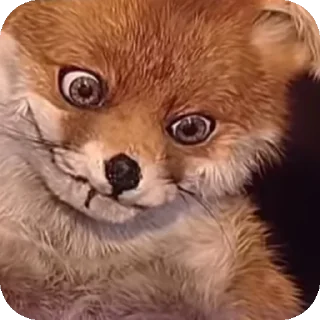 🌟 emoji Рандом чик — @GlamikBear Telegram sticker 13 of 51