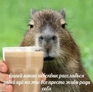 Sticker from Супер Жорик