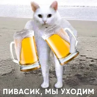 🍺 emoji OneAss starterpack Telegram sticker 11 of 38