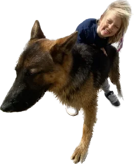 🐶 emoji Sk8school Telegram sticker 17 of 54