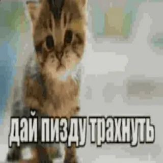 😘 emoji Тесак Telegram sticker 24 of 48