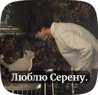 🌟 emoji Вино любит... Telegram sticker 11 of 14