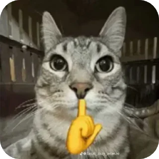 🐱 emoji Кот Тайлер дерден | @Floppathecat Telegram sticker 17 of 91