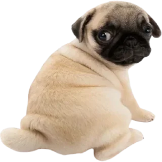 😶 emoji мама папа криминал Telegram sticker 7 of 70