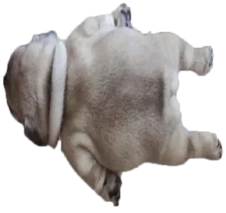 🙁 emoji мама папа криминал Telegram sticker 9 of 70